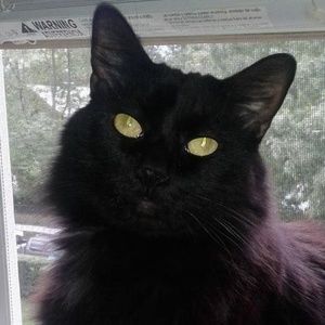 Meet your Posher, Claire